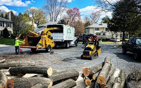 Best Arborist Consultation Services  in North Eastham, MA