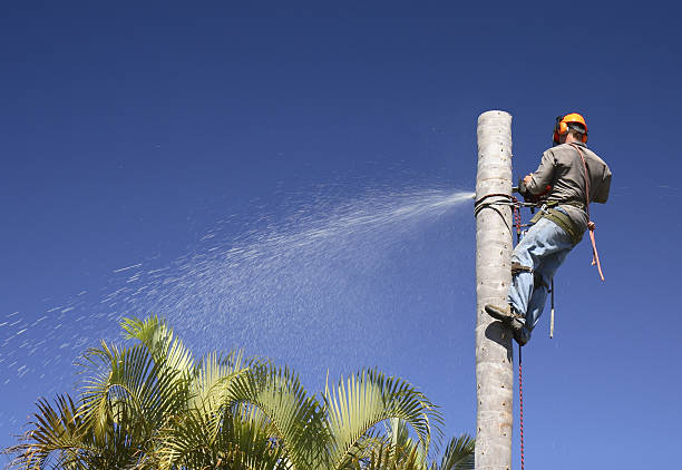  North Eastham, MA Tree Care Pros